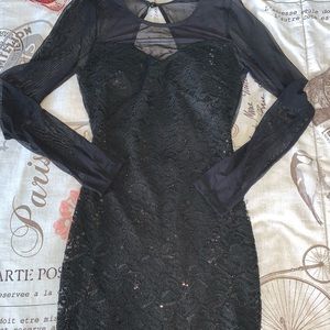 Glare along Sleeve Dress